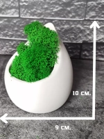 Декоративное кашпо капля из гипса со мхом