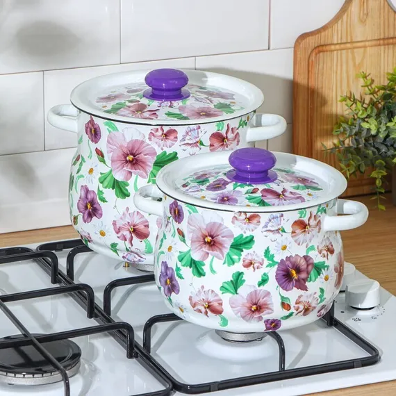 Набор кастрюль «Анютины глазки», 2 предмета: 4 л, 5,5 л, эмалированные крышки, индукция
