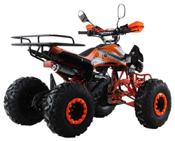 Квадроцикл MOTAX ATV T-Rex Super LUX 125 cc