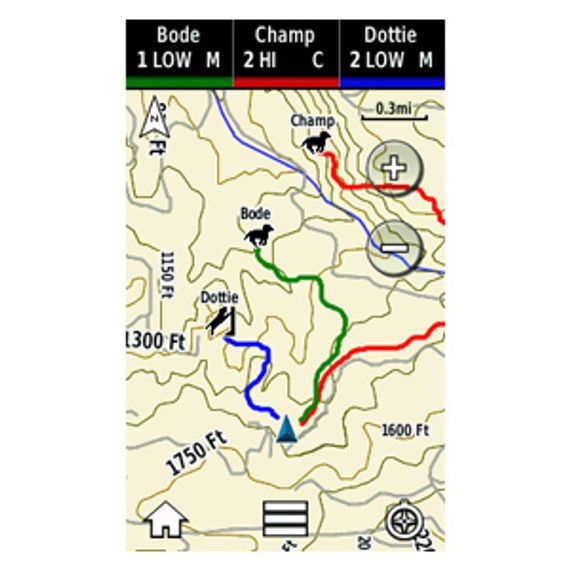 Garmin ALPHA 100 с ошейником ТT15