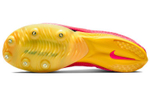 Кроссовки Nike Air Zoom Victory