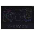 Папка для тетрадей А4 1 отделение, пластиковая "Рентген" (Феникс+)