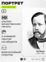 Портрет для школы в кабинет биологии "Луи Пастер", стенд школьный для класса, деятели науки для оформления классного уголка, 40х30 см, Silver Plane x Айдентика Технолоджи