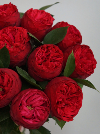 Букет из красных пионовидных роз Red Piano