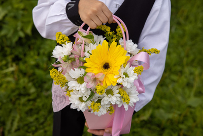 Сумочка школьная №5