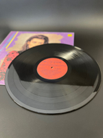 LP Принцесса - для вас, женщины / Princess - for you, wome. Виниловая пластинка 12 дюймов Мелодия 1989 год СССР
