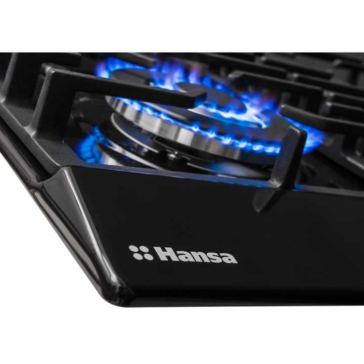 Газовая панель Hansa BHGS611391
