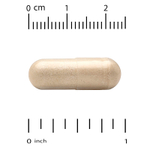 Super Nutrition, органический гриб-баран с имбирём, 60 вегетарианских капсул