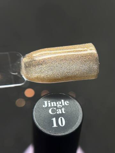 SoLa Гель-лак Jingle Cat 10 Кошачий глаз светоотражающий, 10мл