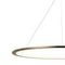 Подвесной светодиодный светильник Loft IT Ring 10014XXL