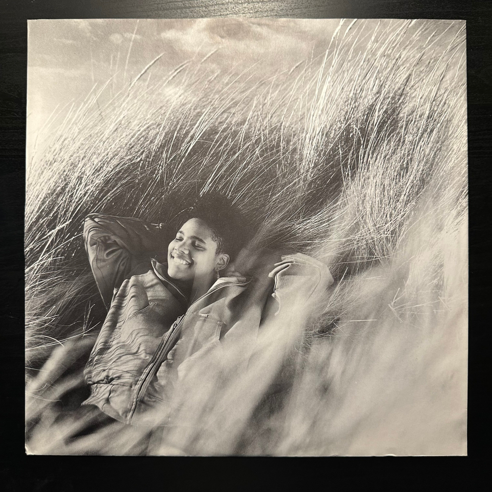 Public Enemy - Fear Of A Black Planet (Голландия 1990г.)