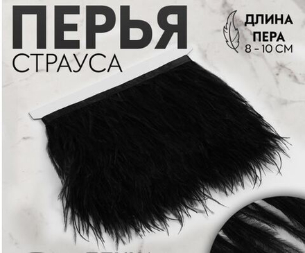 Тесьма с перьями 8-10см, страус чёрный 9429311