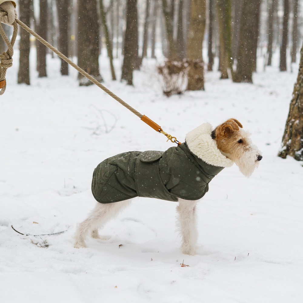 Утепленная попона Пони-Эскимони Hunting Pony