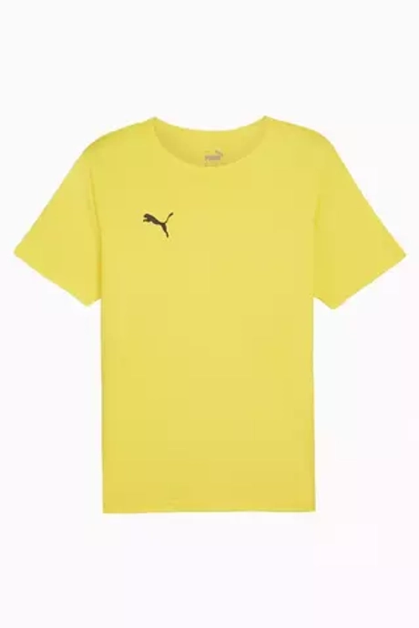 Футболка Puma teamRISE Matchday