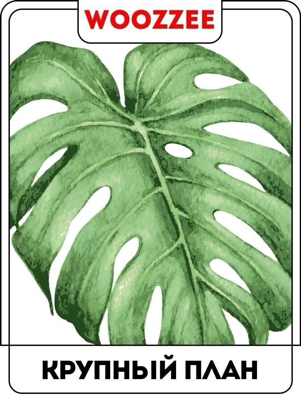 Наклейка декоративная "Зеленая Монстера"