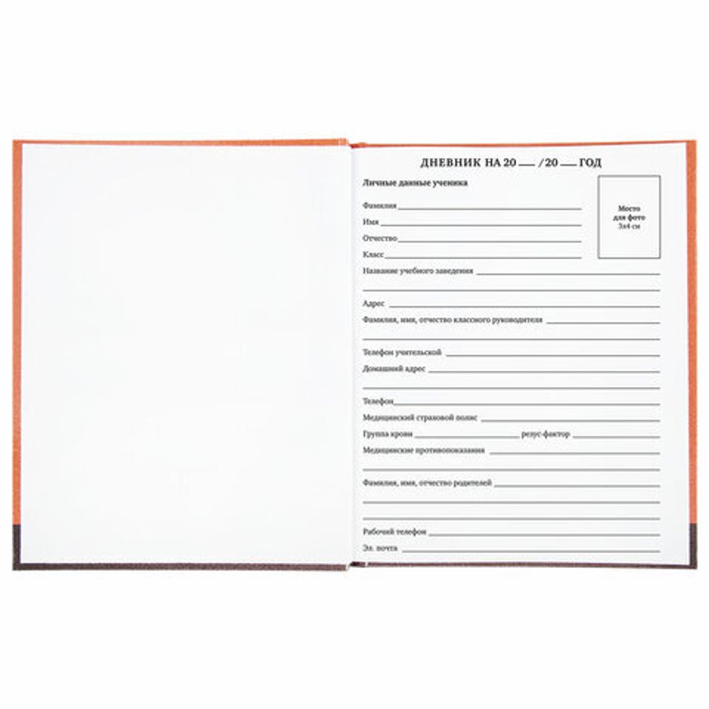 Дневник 1-11 класс 40 л., твердый, BRAUBERG, глянцевая ламинация, "Монстрик", 106383