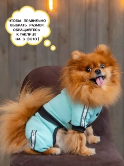 Спортивный комбинезон костюм для собак