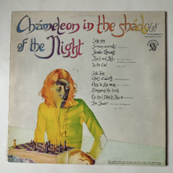 Винтажная виниловая пластинка LP Peter Hammill Chameleon In The Shadow Of The Night (Holland 1973)