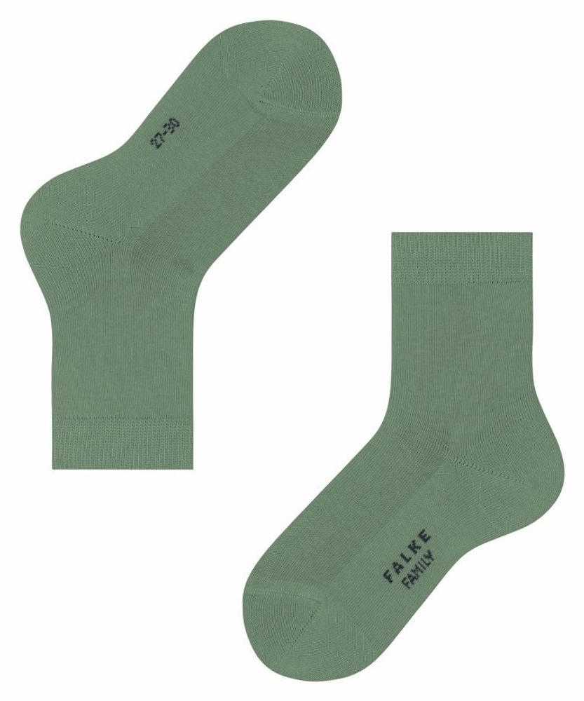 Носки Family FALKE 12998/7016