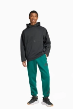 Штаны adidas Z.N.E. - зеленый