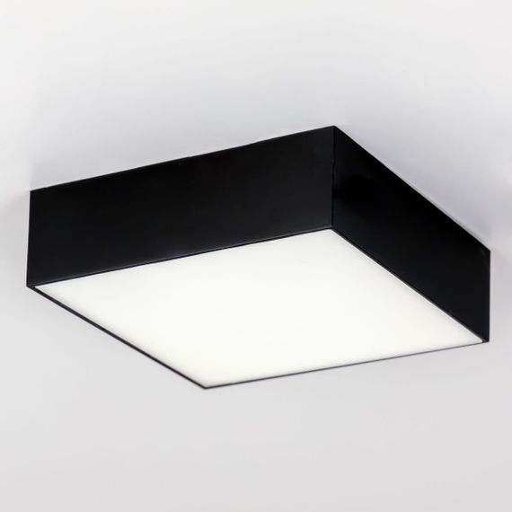 Накладной светодиодный светильник Citilux Тао CL712X122N