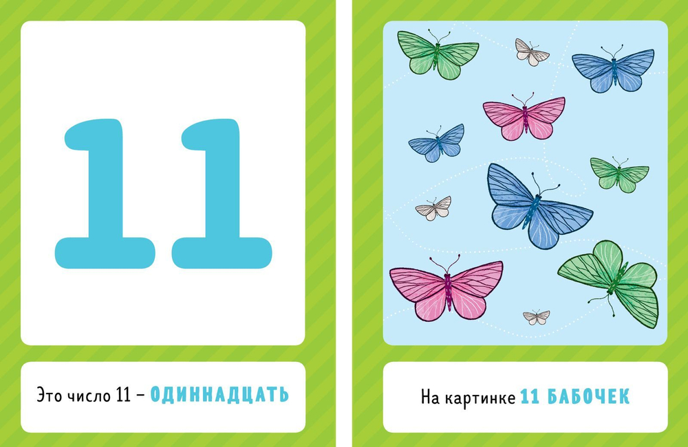 Познаем мир вместе. Я учу цифры