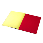 Бумага цветная Alingar, А4, офсетная, двухсторонняя, 10 листов, 10 цветов, на скрепке, "Ассорти"