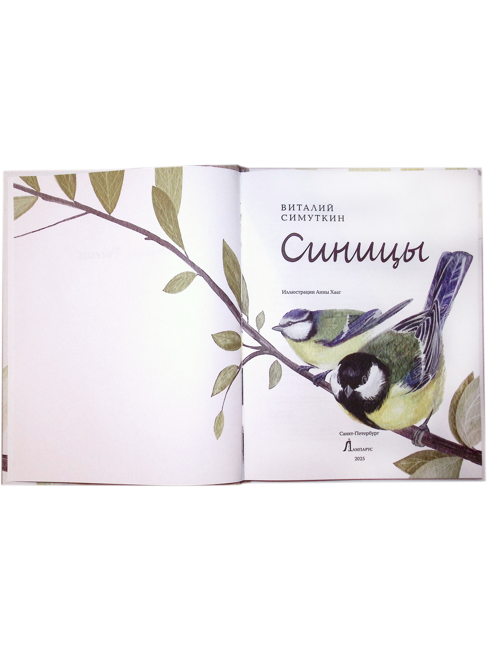 Синицы