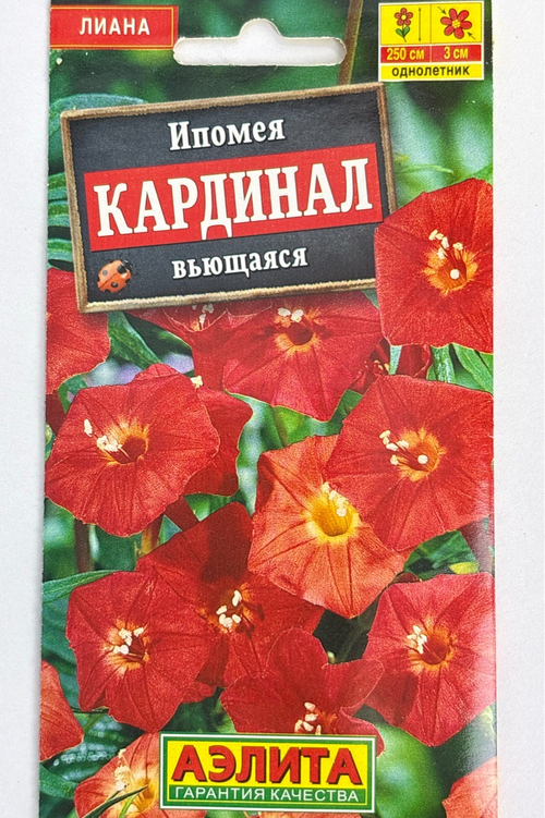 Ипомея Кардинал вьющаяся СМЦ-514