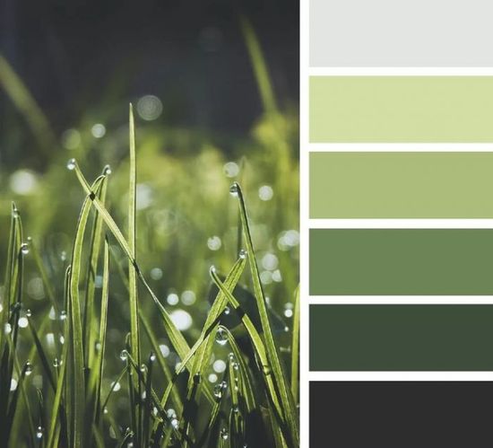 DotStore: Баннеры Блок 2