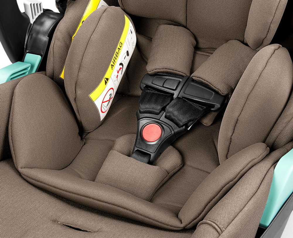 Коляска Peg Perego Veloce New Belvedere Lounge 3 в 1 Pine Bark