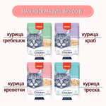 Wanpy Cat Пауч для кошек из курицы и гребешка 85 г
