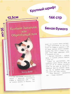 Котенок Заплатка, или Обретенный дом (выпуск 47)