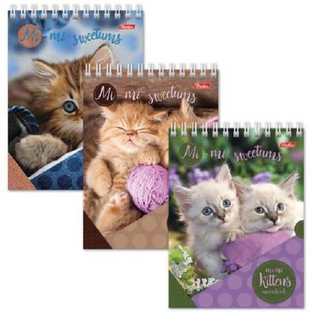 Блокнот А6, 40л, на гребне, клетка, Хатбер Милые котята