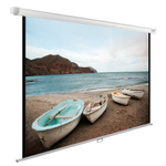 Экран  Cactus CS-PSWE-220X138-WT