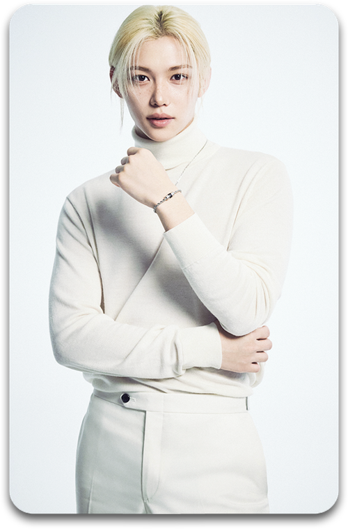 Карта / STRAY KIDS #2443