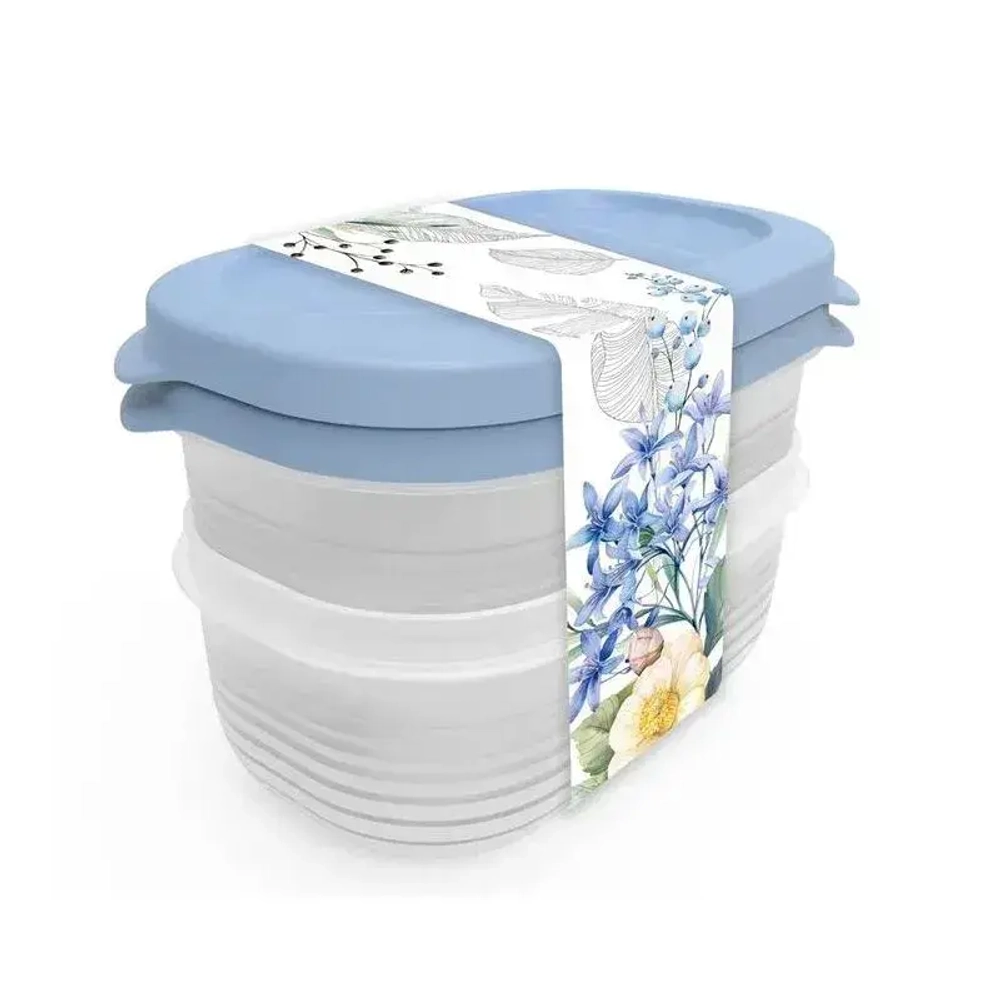 Набор контейнеров Цветущий сад 2шт 0,65л