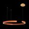 Подвесной светодиодный светильник Loft IT Ring 10025/600 Orange