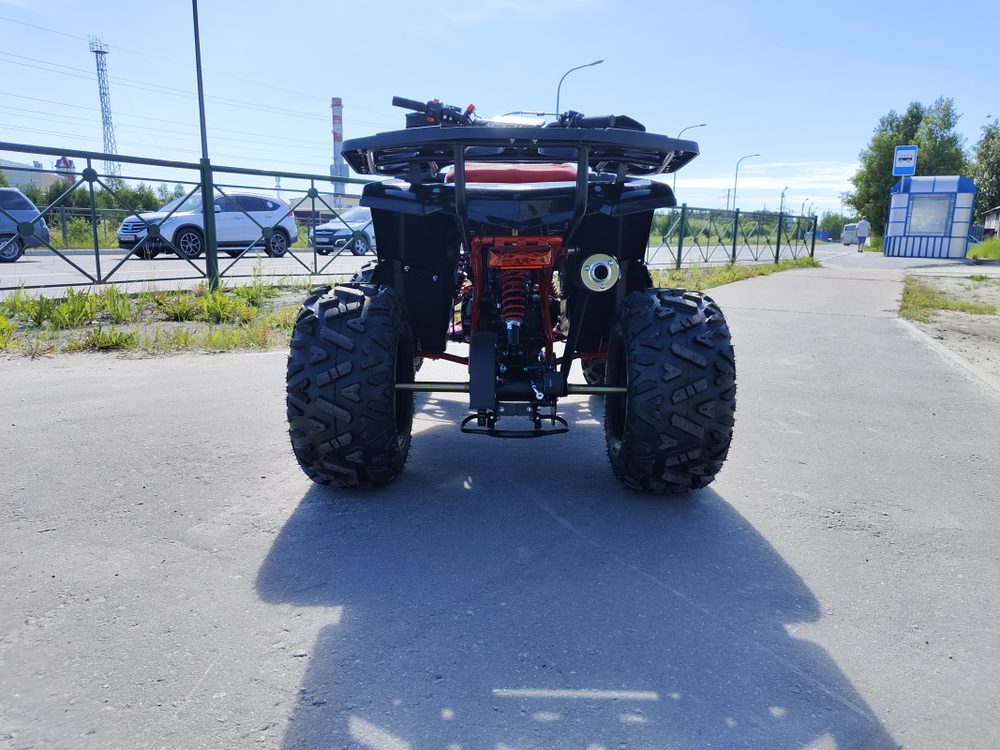 Квадроцикл PROMAX WILD 175 BASIC