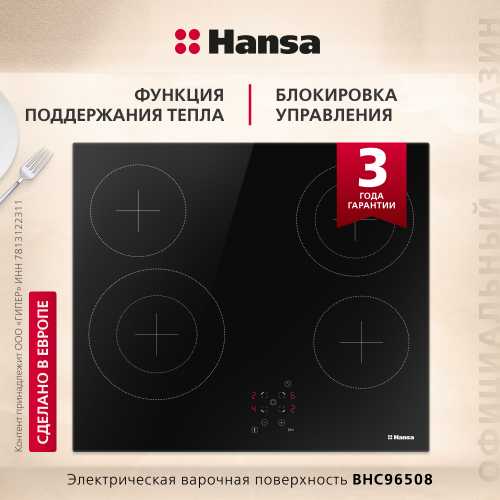 Электрическая панель Hansa BHC96508