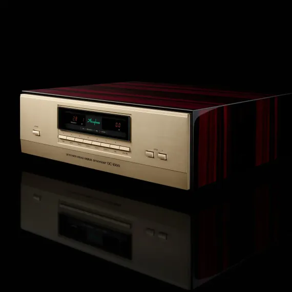 Accuphase DC-1000 Gold