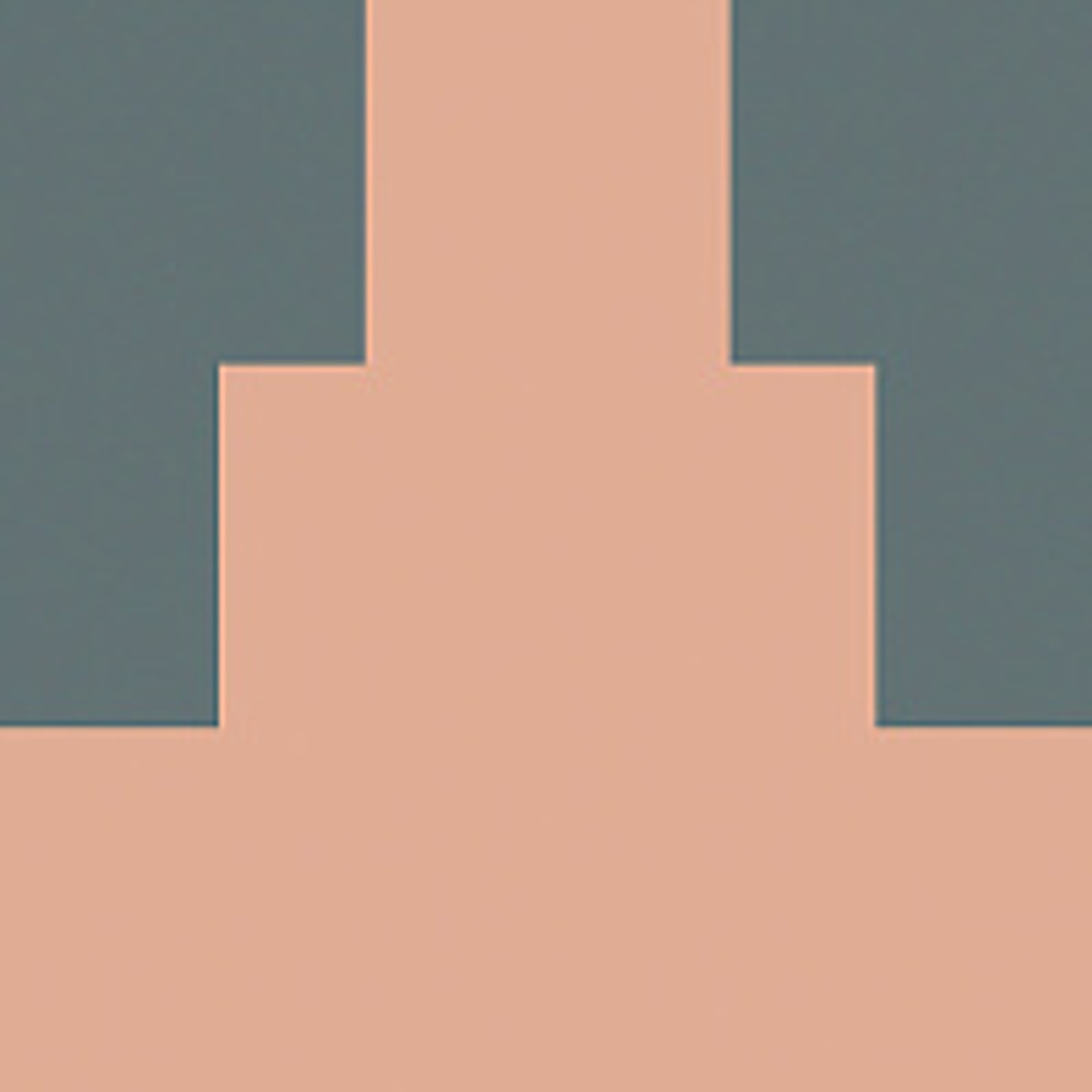 Керамогранит FIORANESE ITALIAN LANDSCAPE Siena_A 20,5х20,5