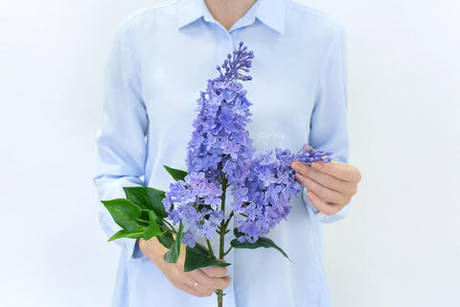 Сирень (3 ветки) - Фиолетовый