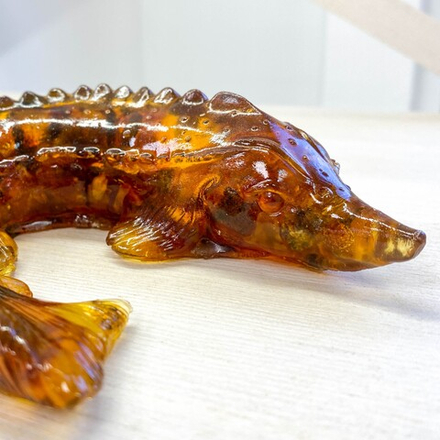 Осетр большой