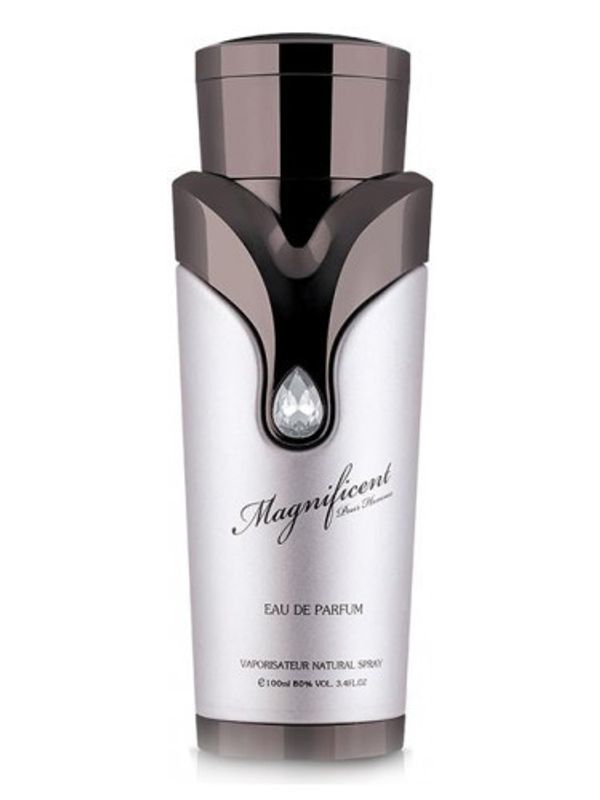 Armaf Magnificent Pour Homme