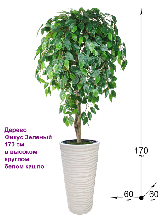 Искусственное дерево Фикус Зеленый 170 см в высоком круглом белом кашпо