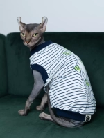 Одежда для сфинкса