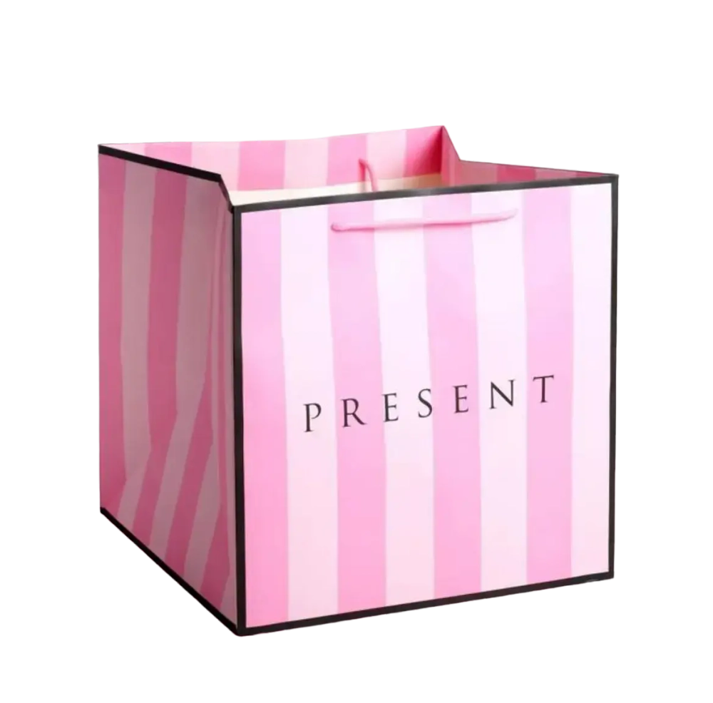 Пакет квадратный «Present», 30 × 30 × 30 см