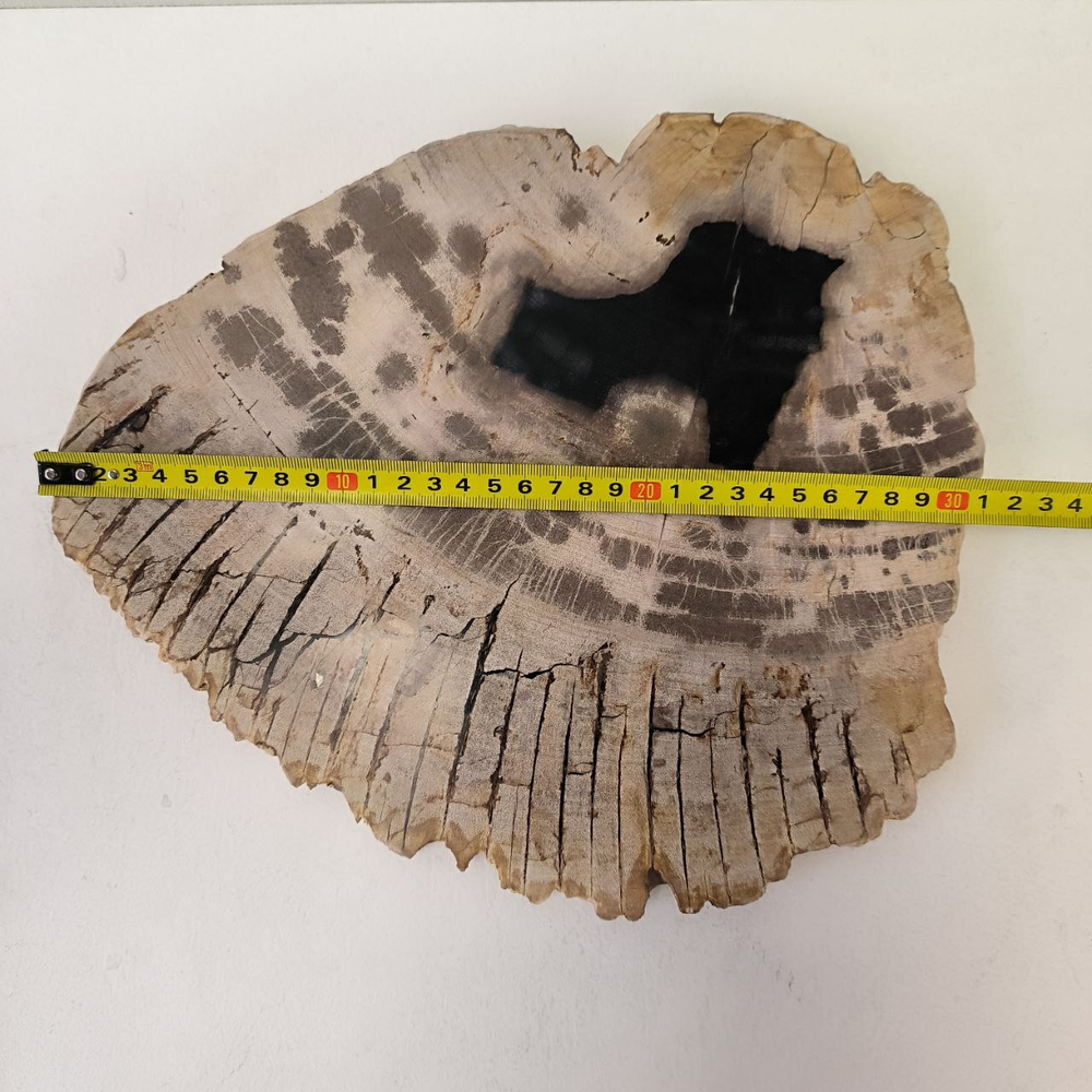 Набор из окаменелого дерева 4 предм Fossil Set NF-63294 поднос 149