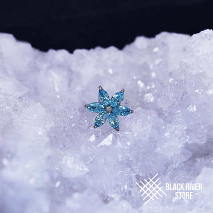 Flower Comet HM Aqua